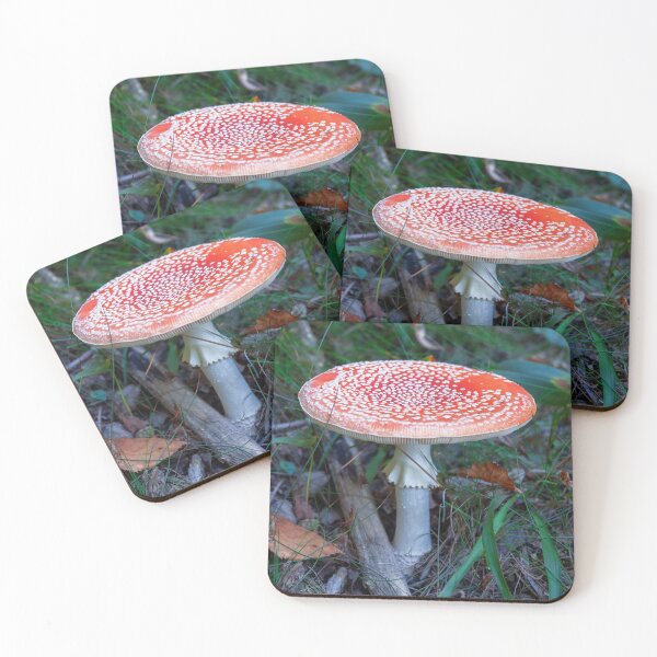 Item preview, Fly Agaric (poisonous) designed and sold by DisaM.