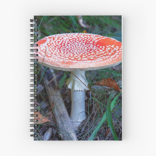 Item preview, Fly Agaric (poisonous) designed and sold by DisaM.