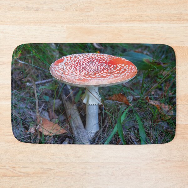 Item preview, Fly Agaric (poisonous) designed and sold by DisaM.