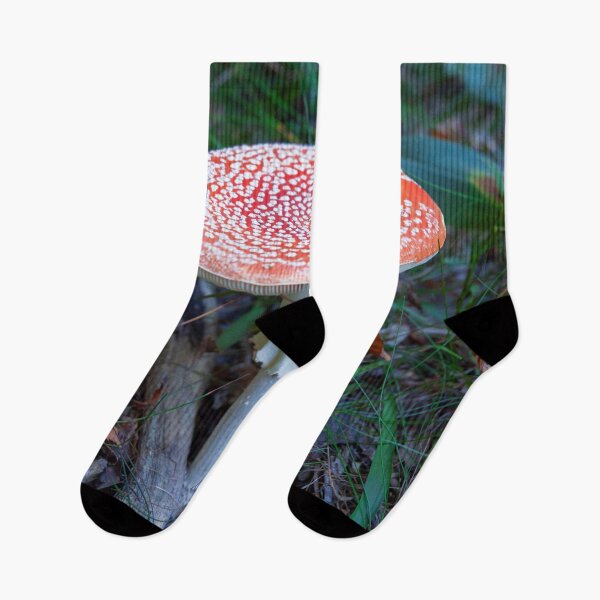 Item preview, Fly Agaric (poisonous) designed and sold by DisaM.