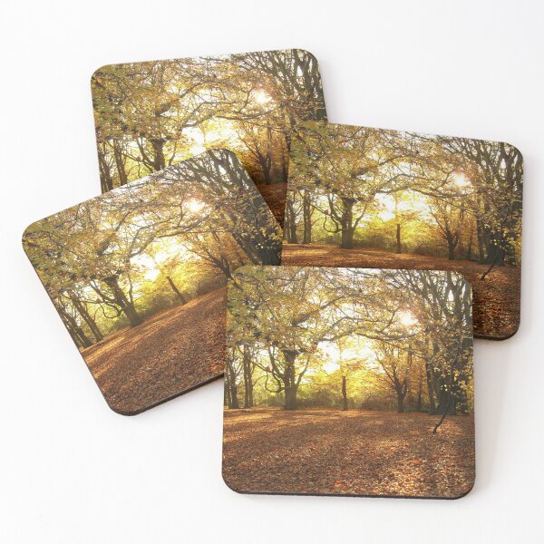 Item preview, Fallen Leaves | Hampstead | Natural London | Warm Sunlight designed and sold by Robert Joseph.