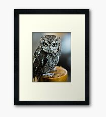 Who? Framed Print
