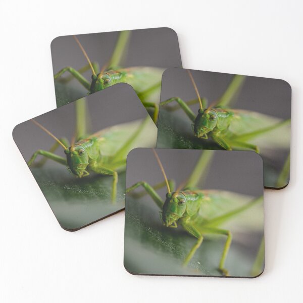 Item preview, Mr Locust designed and sold by DuhilomTovok.