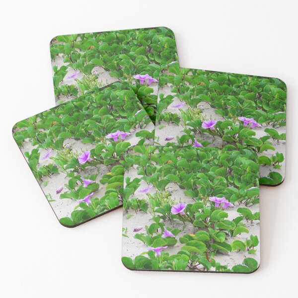 Item preview, Wildflowers in the dunes designed and sold by Texas Enfocus Photography.