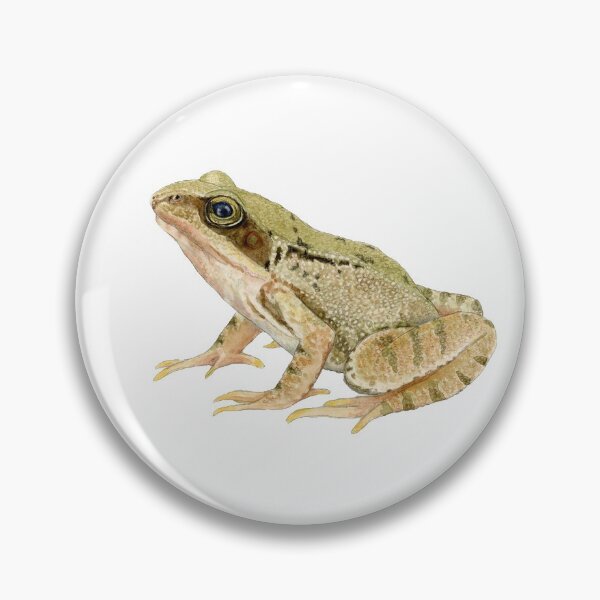 Item preview, Common Frog designed and sold by RieDesigned.