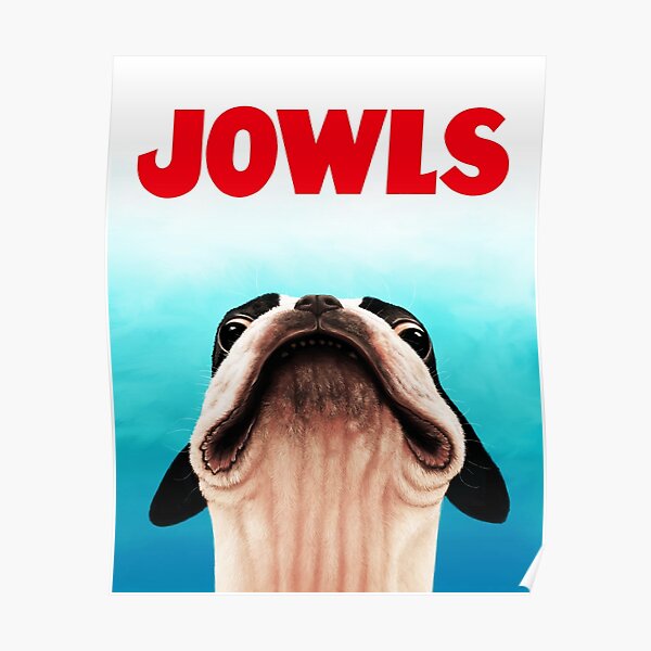 Jowls Boston Terrier poster Poster