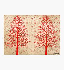 RED CEDARS ARTWORK Photographic Print