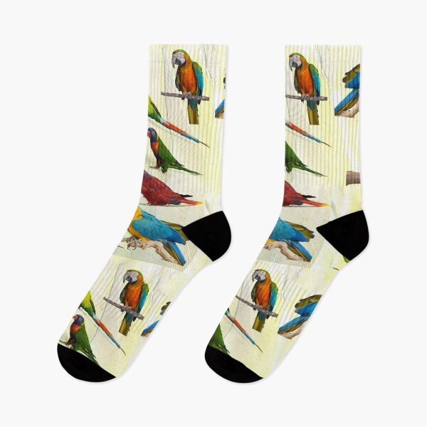 Item preview, Birds Of Color designed and sold by Mamalia.