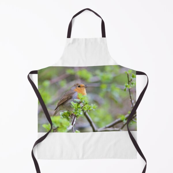 Item preview, Robin (Erithacus Rubecula) Perched in Woodland designed and sold by Rob Cole Photography.