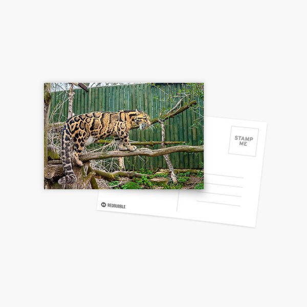 Item preview, Clouded leopard designed and sold by OwlOccasions.
