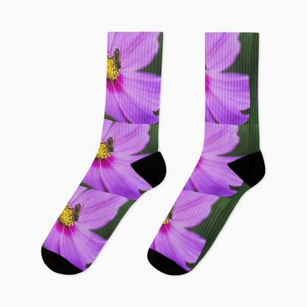 Item preview, Bee nectaring on Pink Cosmos. designed and sold by John Ray.