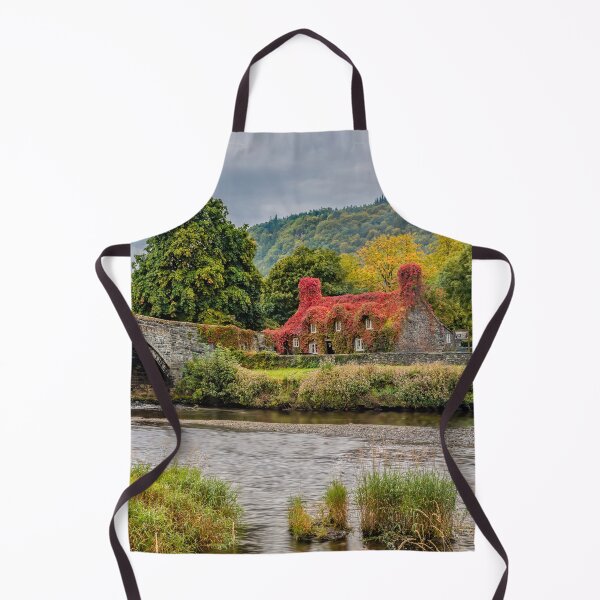 Item preview, Pont Fawr Bridge Llanrwst Wales designed and sold by AJEvans.