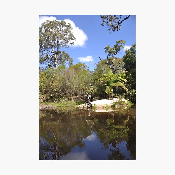 Item preview, Bush oasis, Sydney, Australia designed and sold by mappy1.
