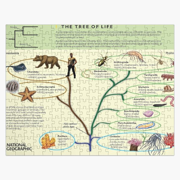 The Tree of Life Jigsaw Puzzle
