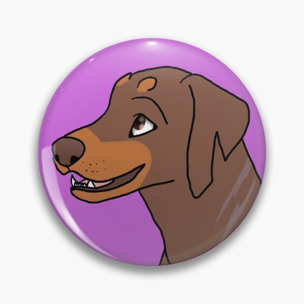 Storm Pin