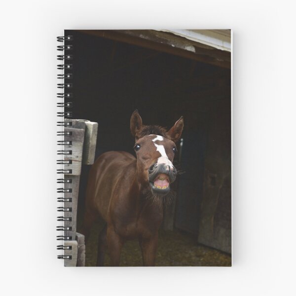 Item preview, Smiling Foal designed and sold by Sanelle.
