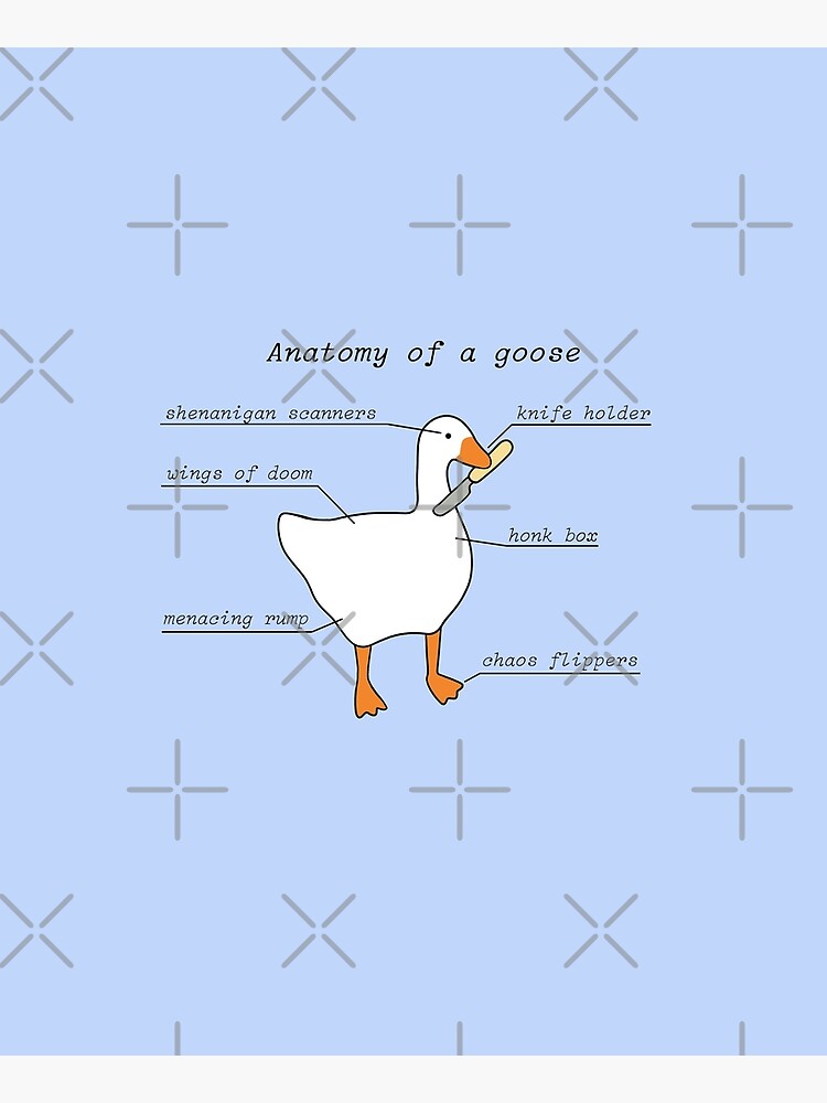 "Anatomy Of A Goose | Untitled Goose Game" Apron by FennecLoaf | Redbubble