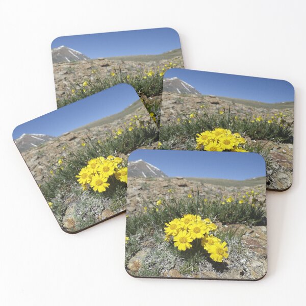 Item preview, Coloradan Wildflowers - High Alpine Mountain Cirque designed and sold by Stratus13.
