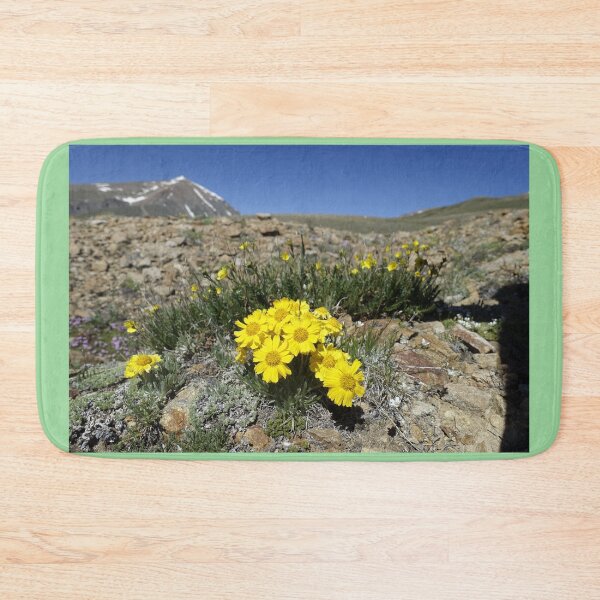 Item preview, Coloradan Wildflowers - High Alpine Mountain Cirque designed and sold by Stratus13.