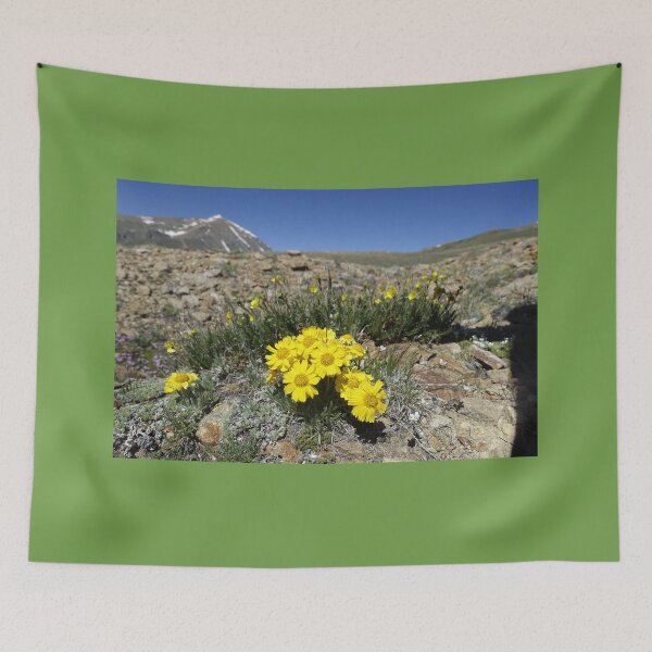 Item preview, Coloradan Wildflowers - High Alpine Mountain Cirque designed and sold by Stratus13.