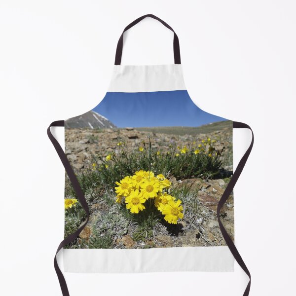 Item preview, Coloradan Wildflowers - High Alpine Mountain Cirque designed and sold by Stratus13.