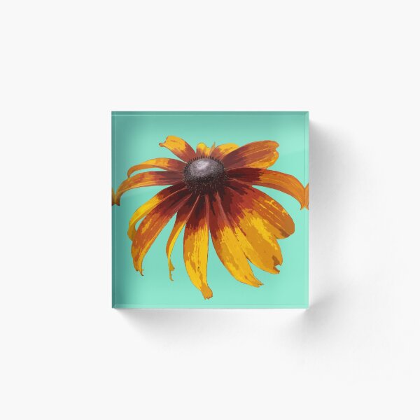 Black-Eyed Susan - Aqua Acrylic Block