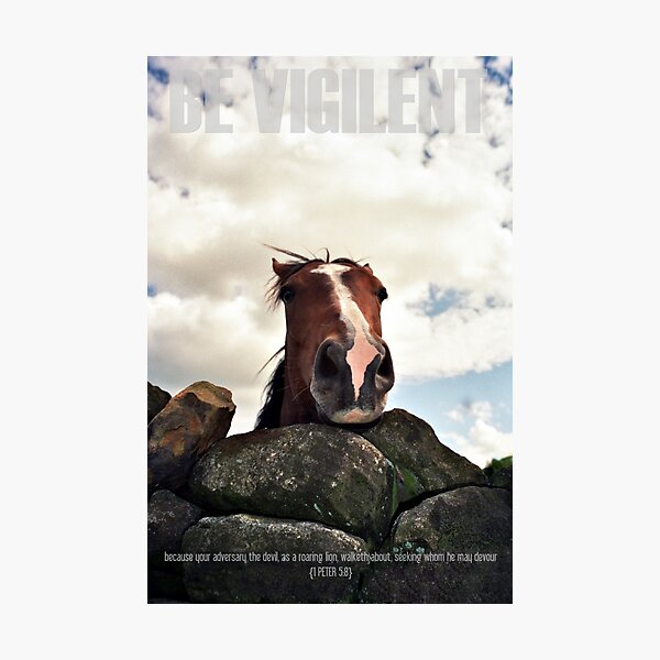 Horse Looking over Wall 1 Peter 5:8 Photographic Print