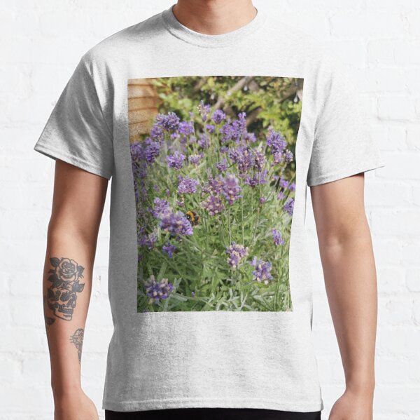 Resting Bumblebee on Lavender  Classic T-Shirt