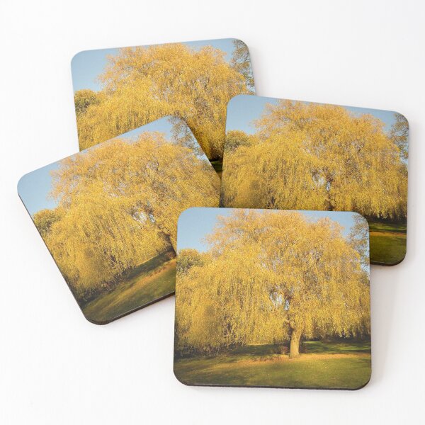 Item preview, Natural Beauty | Hampstead | London Parkland | Sunlit Tree designed and sold by Robert Joseph.