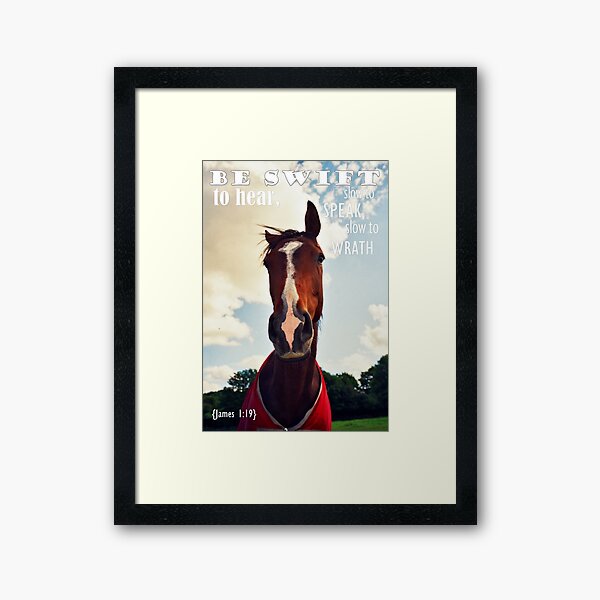 Horse James 1:19 Framed Art Print