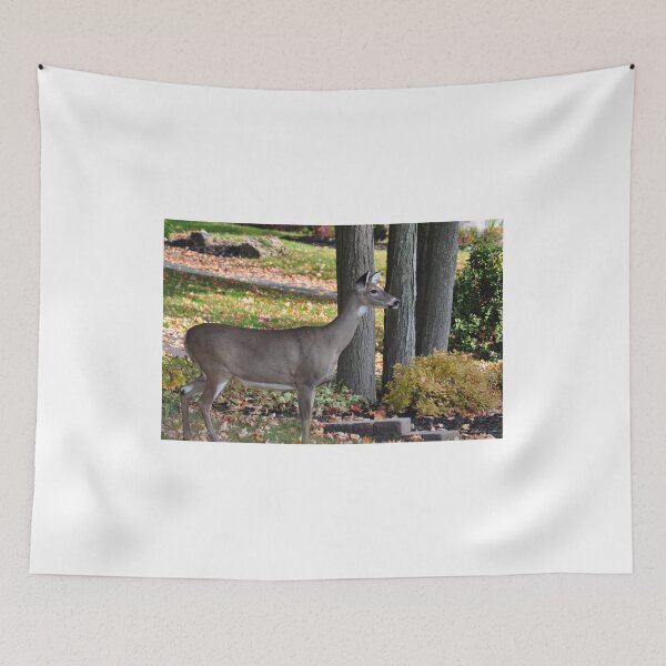 Item preview, City  designed and sold by SRosuphotos.