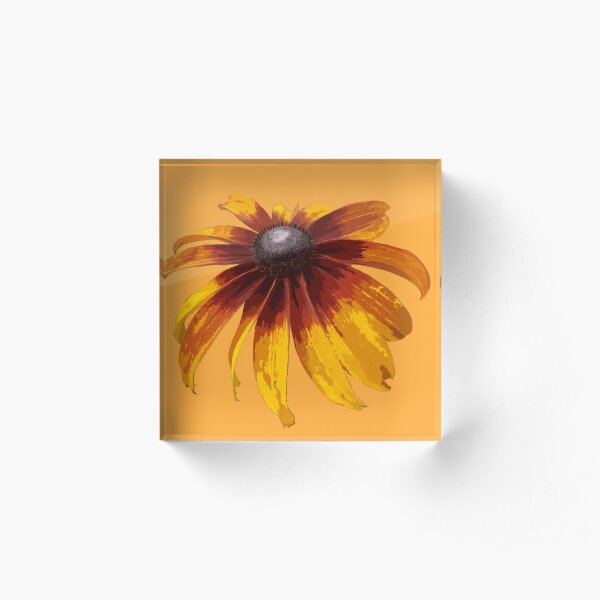 Black-Eyed Susan - Marigold Acrylic Block
