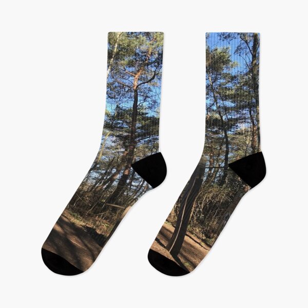 Item preview, Outdoor Gym In a Forest In Sweden designed and sold by CeasarBratz.