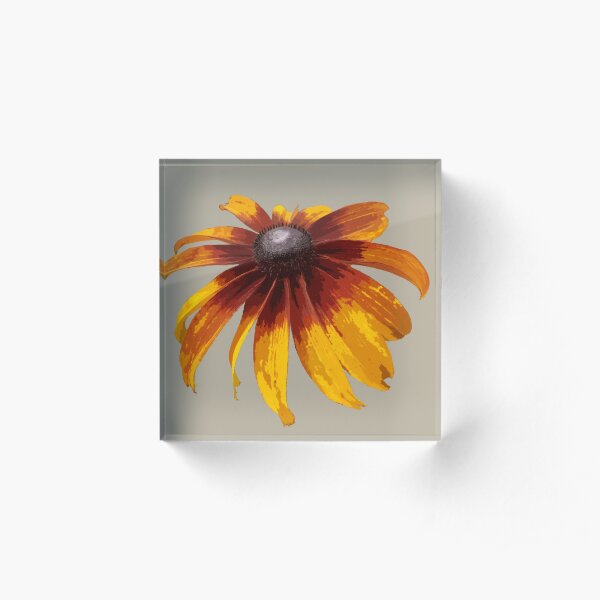 Black-Eyed Susan - Taupe Acrylic Block
