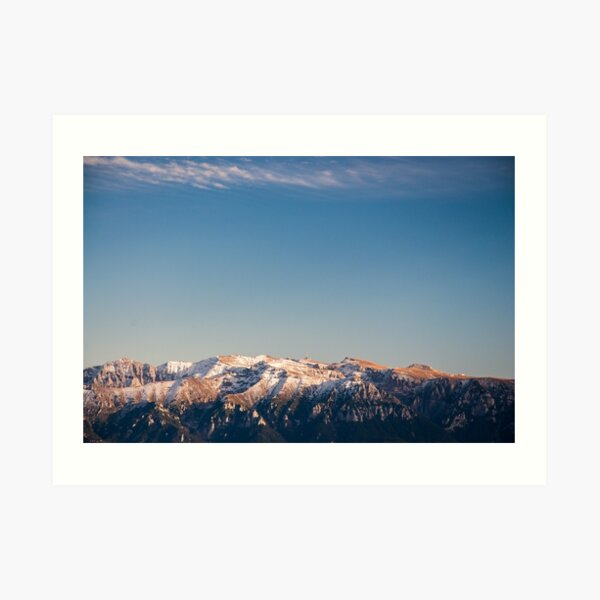 Powdered Art Print
