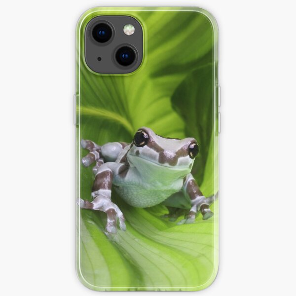 Amazon milk frog in curled leaf iPhone Soft Case
