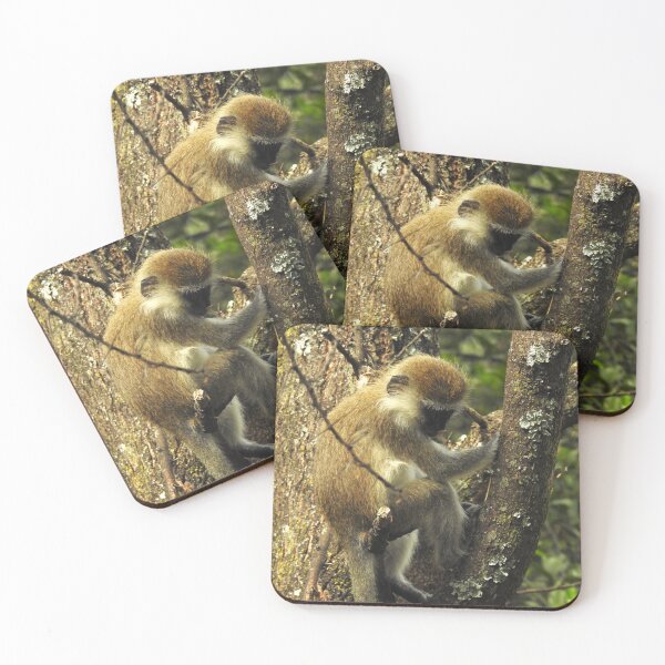 Item preview, Monkey on a tree, Ethiopia designed and sold by Heaven-Earth.