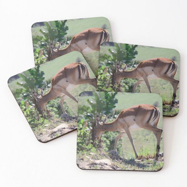 Item preview, Springbok designed and sold by SeanTPhotog.