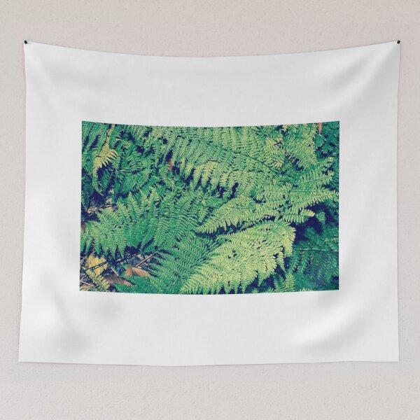 Item preview, Icy Fern designed and sold by ksweetphoto.