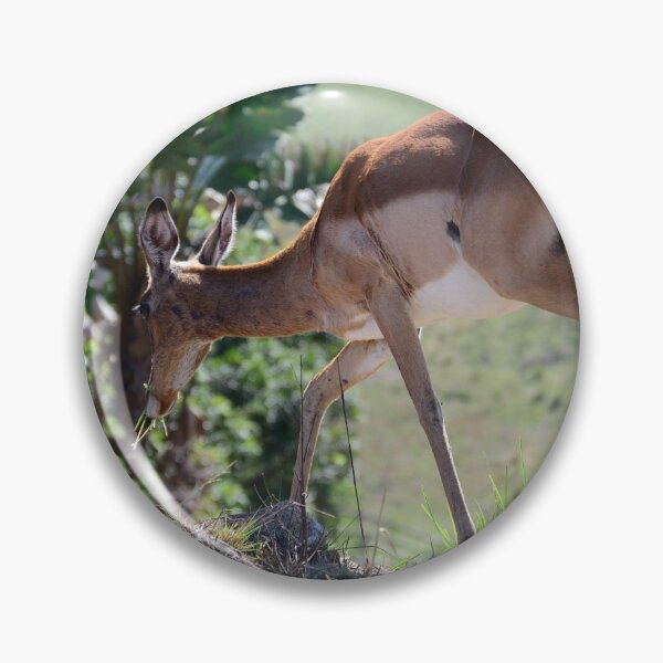 Artikelvorschau, Springbock entworfen und verkauft von SeanTPhotog.