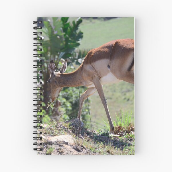 Item preview, Springbok designed and sold by SeanTPhotog.