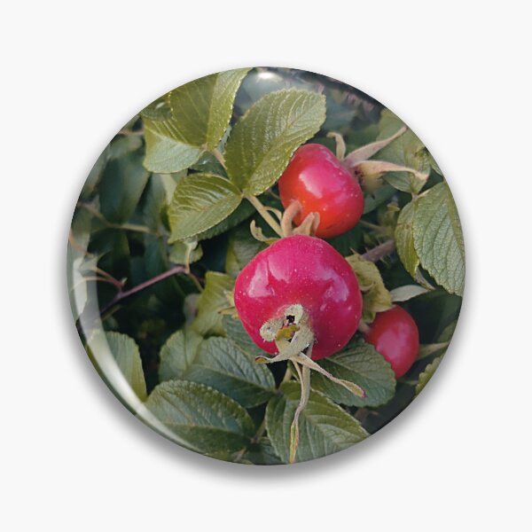 Item preview, Bright rose hip designed and sold by vieno.
