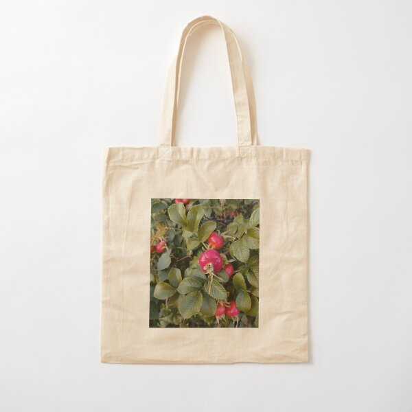 Item preview, Bright rose hip designed and sold by vieno.