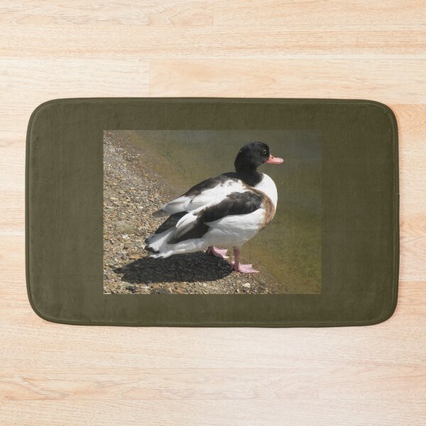 Item preview, Shelduck on the side of a lake Photograph designed and sold by naturegallery.