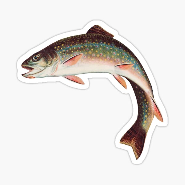 Jumping Brook Trout Sticker