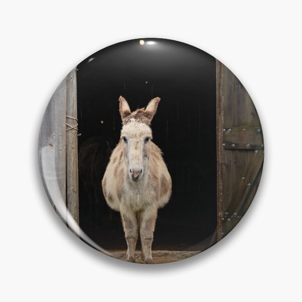 Item preview, Curious Donkey designed and sold by Larry Glick.