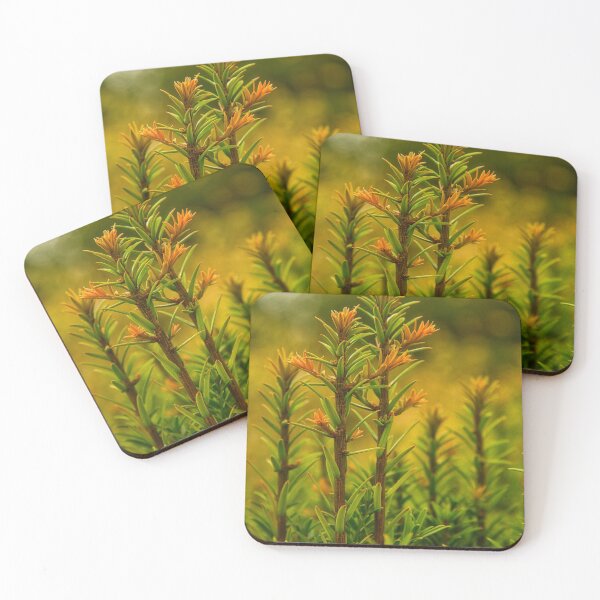 Item preview, Reach for the Sky designed and sold by ThePictureMan.