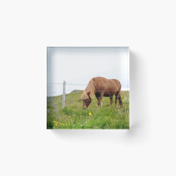Item preview, Grazing designed and sold by Jane Ruttkayova.