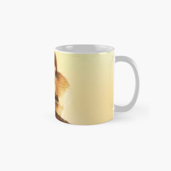 Squirrel Classic Mug
