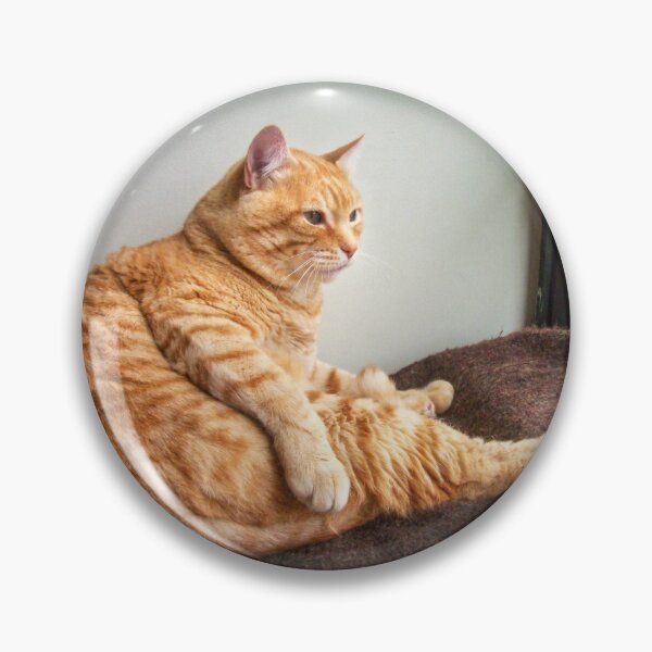 Item preview, Is it Caturday yet? designed and sold by Maria  Gonzalez.